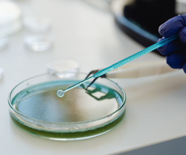 Untitled design (34)