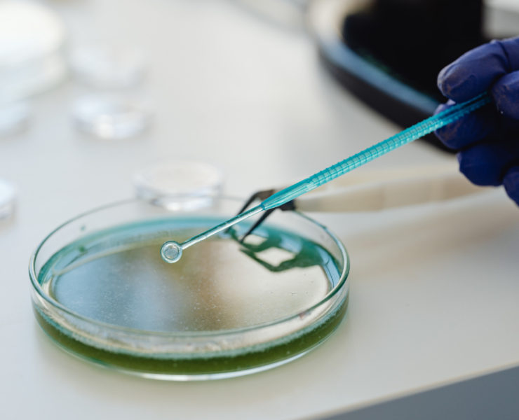 Untitled design (34)